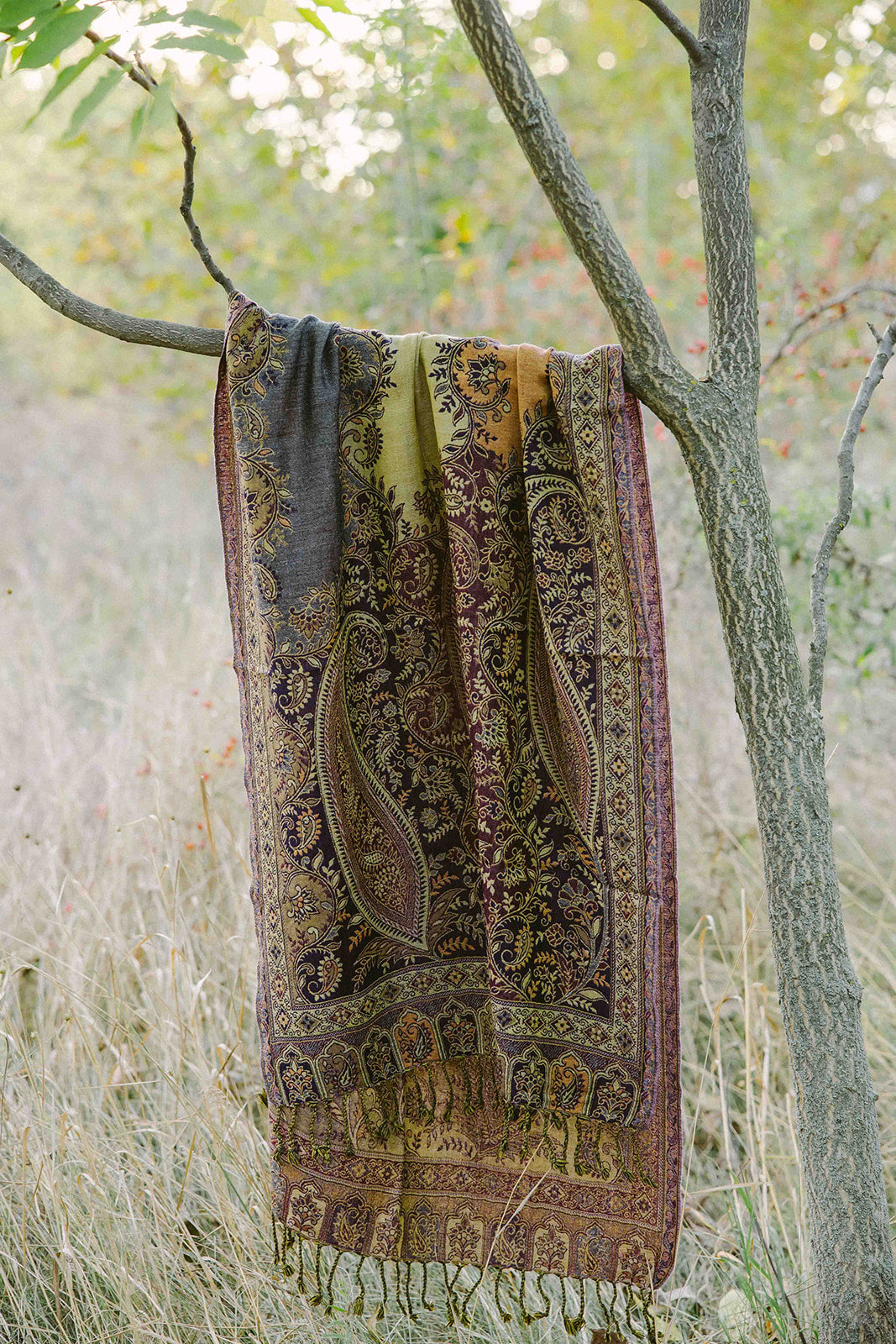 Scarf -100% Marino wool - Jamavar - 70x180cm -