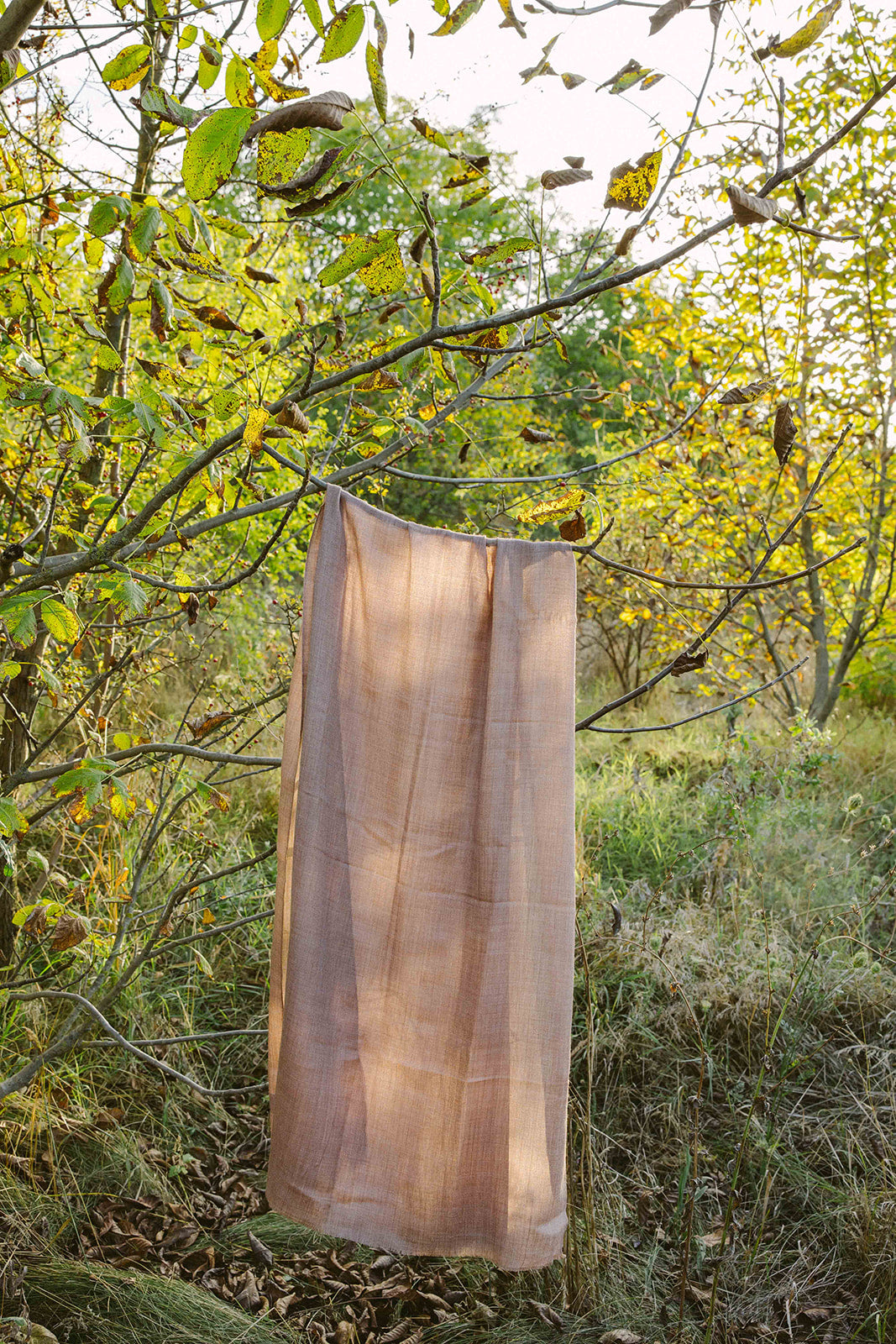 Scarf- Wool/Silk - 70x200cm -